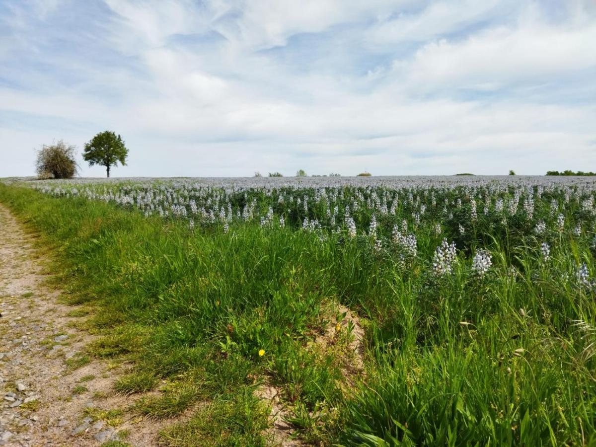 Appartamento Le Chapitre Châteaumeillant Esterno foto