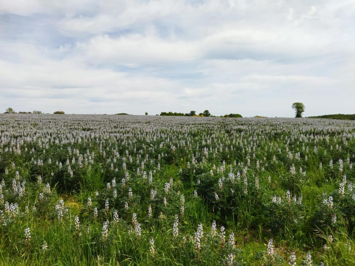 Appartamento Le Chapitre Châteaumeillant Esterno foto